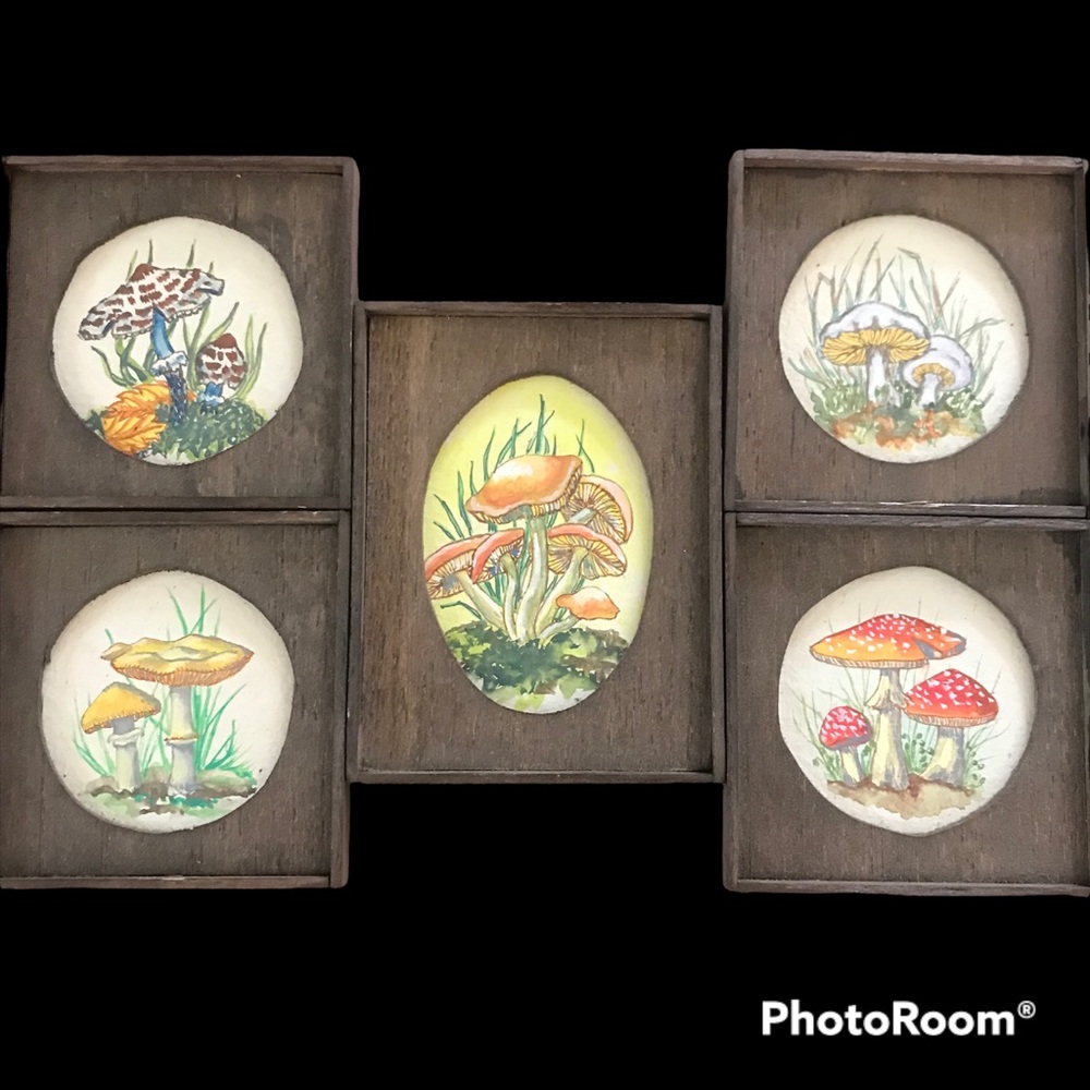 🍄 Vintage Mushroom Wooden Pictures | set of 5